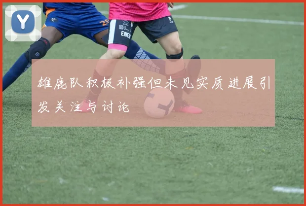 雄鹿队积极补强但未见实质进展引发关注与讨论